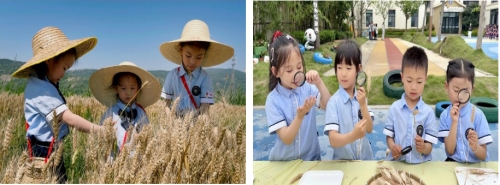 芒种知时节 童趣伴成长
