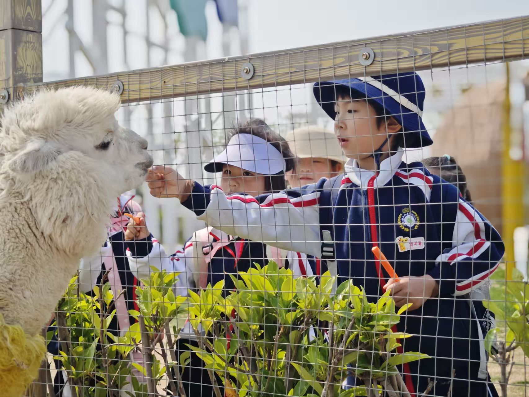 810139d2f6e990061dc8b3bb22614d22.jpg
